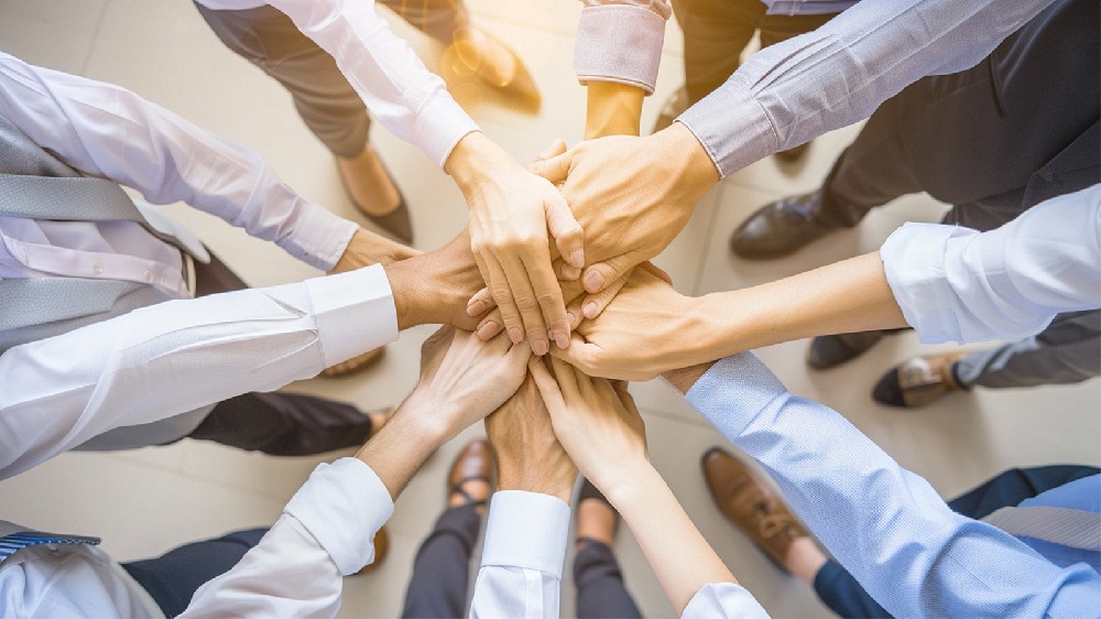 專(zhuān)業(yè)團(tuán)隊(duì)